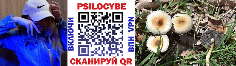 Псилоцибиновые грибы Magic Shrooms  Верхотурье 